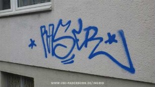 *RASER*