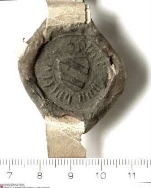 Die Brüder Johann (Hans) von Hutten, Ludwig von Hutten, Konrad (Contze) von Hutten und Andreas (Andres) von Hutten bekunden für sich und ihre Erbe...