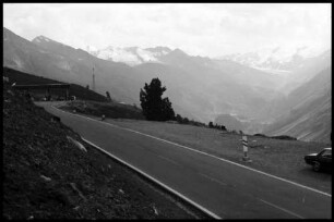 Hochgurgl: Parkplatz, Autos, Publikum und Ziegen auf der Angerer Alm [Blick Richtung Mautstelle]