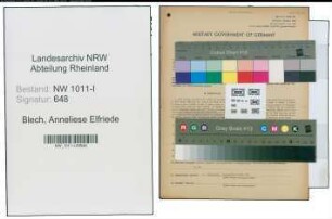 Entnazifizierung Anneliese Elfriede Blech , geb. 16.01.1911 ()