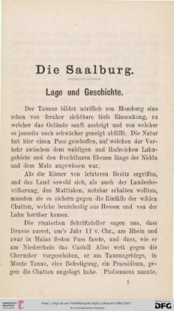 Die Saalburg