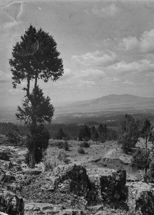 Mount Entoto : Landschaft am Mount Entoto. Im Tal die Stadt Addis Abeba
