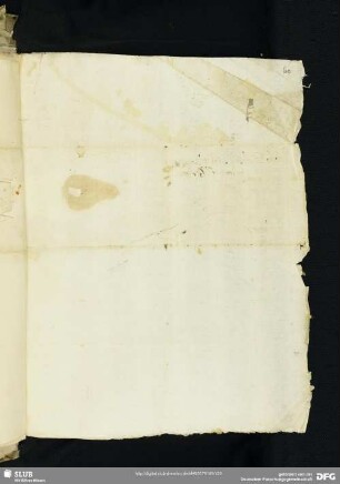 Brief des Federico Cardinale Cornaro Senior [zu Bl. 49]