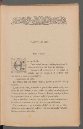 Capítulo XIII - Una consulta