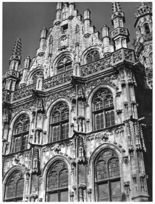 Rathaus, Oudenaarde, Flandern, Belgien