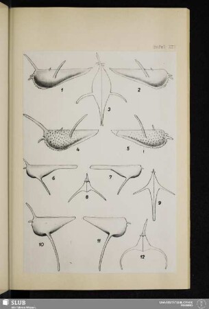 Tafel XIV
