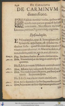 De Carminum dimensione