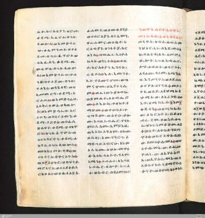 Genealogie der äthiopischen Mönche
