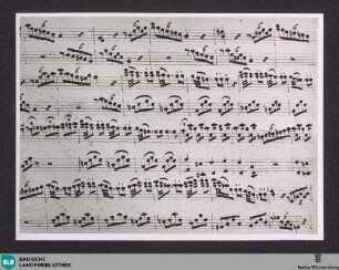 Concertos - Don Mus.Ms. 1811 : cemb, orch; A