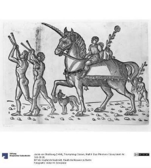 Triumphzug Cäsars, Blatt 9: Das Pferd von Cäsar
