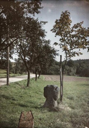 Steinkreuz : Niederau-Oberau, Steinkreuz (Tatzenkreuz; D 165) mit angedeuteten Armen und Kopf am Fahrweg nach Gohlis