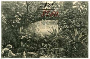 Portland, Oregon. Looking through the Grotto, City Park