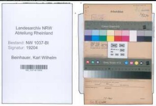 Entnazifizierung Karl Wilhelm Beinhauer , geb. 01.01.1881 (Steuersekretaer)