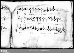 Wolfgang Figulus: Bonum est homini uxorem non tangere