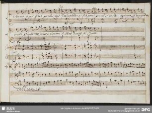 Menuet