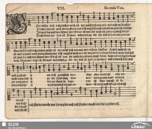 VII. Gott b'hüte dich