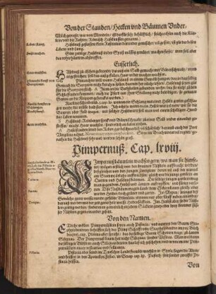 Pimpernuß, Cap. LXVIII