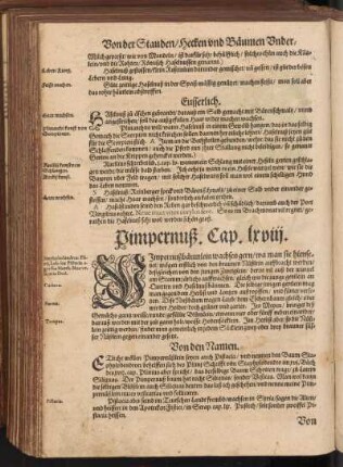 Pimpernuß, Cap. LXVIII