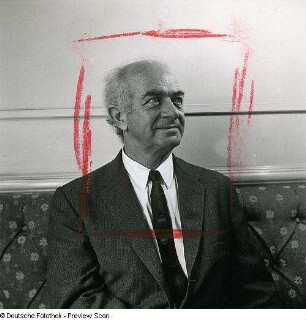 Portraitserie Linus Carl Pauling