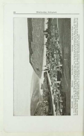 14. Das Rheintal bei Bingen