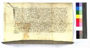 Philipp von Wittstadt (Witstat), genannt Hagenbach, der Junge, bestätigt, daß Johann Adelmann von Adelmannsfelden (Adelmanszfelden), Meister des Deutschen Ordens in deutschen und welschen Landen, ihm und seinen Brüdern Wilhelm und Hans 1 Fuder Weingeld, das die Kellerei zu Neckarsulm (Sulme) gibt, sowie 8 Morgen Acker unterhalb des Schlosses Scheuerberg (Schewerberg) und 1 Morgen Wiese zu Lehen gegeben hat, wie dies zuvor sein verstorbener Vater Philipp von Wittstadt, genannt Hagenbach, der Ältere, zu Lehen hatte. Er verspricht, dass er und seine Brüder den Burgdienst auf der Burg Scheuerberg versehen.