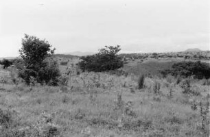 Savanne (Äthiopienreise 1937/1938 - 7. Flugreise nach Dembi Dolo und Ausflüge ins Umland)