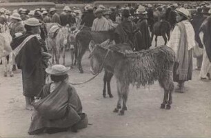 Viehmarkt (Lateinamerika-Aufenthalte 1928/1942)