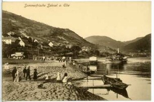 Salesel. Blick auf Salesel m. Elbe u. Dampfer