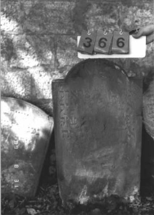 Grabstein 366 (Index: 99610003) Material: Sandstein Zustand: verwittert, abgeblättert, weitgehender Textverlust Maße HxBxT: 88x47x9 cm Beschreibung: Stele, eingezogener Segmentbogenabschluß, Schriftfeld abgegrenzt: Grabstein 366