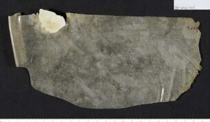 CIL XV 4764, Gelatinefolie