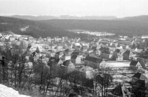 Homburg: Blick vom Schlosshotel auf Wohnteil und Wald