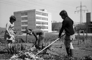 Lörrach, Tüllingen: Gärtnerarbeit der Landwirtschaftsschule, Hintergrund Sonderschule