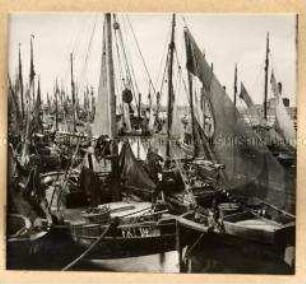 Viele kleine Schiffe am Strand von Friedrichskoog