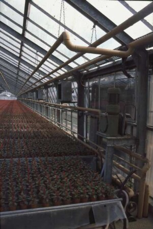 Fotografie: Gartenbautechnik-Gewächshaus, Heizung