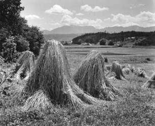 Ehrental, Kärnten, "Fülle des Sommers"