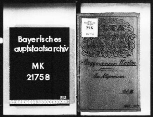 Weiden. Progymnasium. Im allgemeinen.