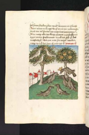 Die Versammlung der Raben vor ihrem Rabenkönig; (Kapitel V: Von den Raben und den Aaren)
