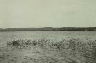 Bodensee, Nordufer : Bodensee (Untersee), Nordufer bei Allensbach