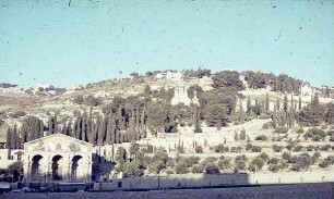 Gethsemane, r. lacrimae [?] [Jerusalem]