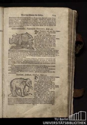 Cap. 43. Elephant, Helffant, Elephas.