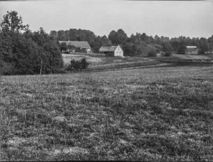 Gehöfte : Blick über eine Wiese auf Gehöfte