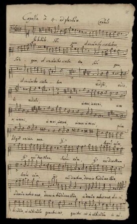 Capella à 4 ad placitum. Cantus.