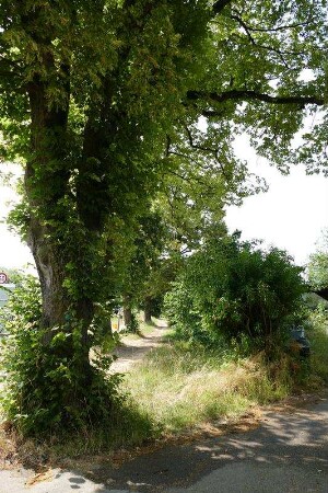 Lindenallee (Allee und Brückenbau (Unterführung)); Friedberg, Vorstadt zum Garten, Seebach (n.fl.Gew.III), Riedgraben, Im Ellern, Burgfeldstraße