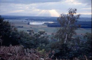 Merdingen: Landschaft in Richtung Vogesen vom Tuniberg aus, mit Baggersee und Birke