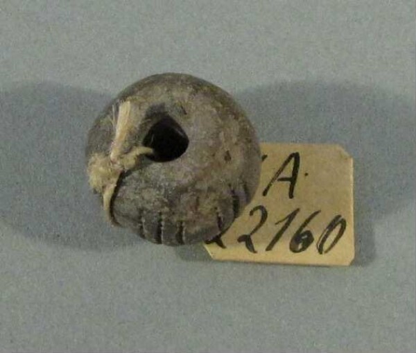 spindle whorl