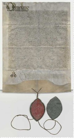 Cardinal Oliverius transsumiert mehrere Urkunden. Notar Jacobus Nyckel alias Otte [lat].