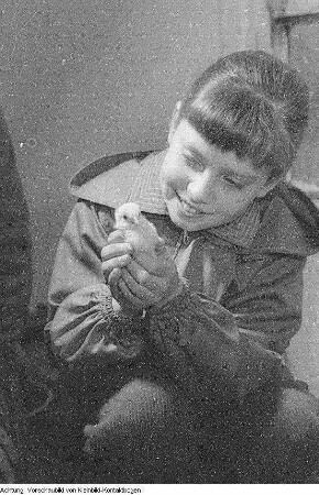 Heinrich Dathe mit Blindenhund, Laubfrosch unter Sonnenhut, junger Turmfalke, 1956
