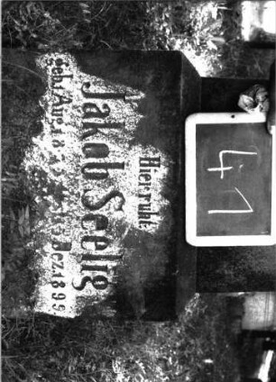 Grabstein 41 (Index: 100101035) Material: Sandstein Zustand: verwittert Maße HxBxT: 157x41x18 cm Beschreibung: Stele, Sockel, Abdeckplatte mit Palmettenaufsatz Symbolik: Palmette Besonderheit: eingemeißelte Nummer: 28: Grabstein 41B