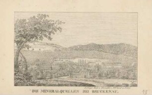 Die Mineralquellen bei Bruckenau.