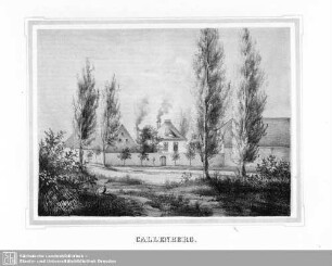 Callenberg